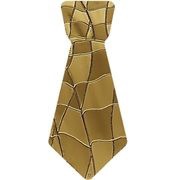 100 Euros Contour Necktie reverse image