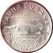 5 Pesos Giant Gar Fish, Cuba, 1981 reverse image