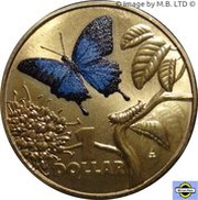 1 Dollar - Elizabeth II 4th Portrait - Bright Bug Series - Ulysses Butterfly reverse image