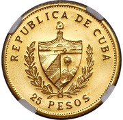 25 Pesos Homeland and Freedom; Piedfort obverse image