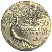 50 Cents International Year of Forest - FAO, Cyprus, 1985 reverse image