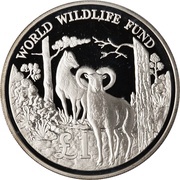 1 Pound WWF - Silver Proof Issue, Cyprus, 1986 reverse image