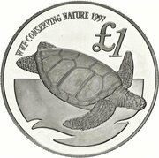 1 Pound Cyprus Green Turtle - Silver Proof Issue, Cyprus, 1997 reverse image