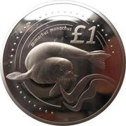 1 Pound Mediterranean Monk Seal - Silver Proof Issue, Cyprus, 2005 reverse image