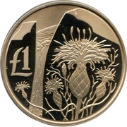 1 Pound Centaurea Akamantis - Silver Proof Issue, Cyprus, 2006 reverse image