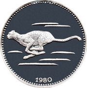 2000 Ekuele Cheetah reverse image