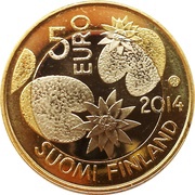 5 Euros Waters obverse image