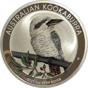 1 Dollar - Elizabeth II 6th Portrait - Australian Kookaburra - Coloured, Australia, 2021 reverse image