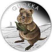 1 Dollar - Elizabeth II 6th Portrait - Quokka - Coloured, Australia, 2021 reverse image
