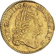 Gold Louis of Bearn with shield - Louis XIV obverse image