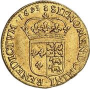 Gold Louis of Bearn with shield - Louis XIV, France, 1690-1693 reverse image
