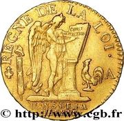 1 Louis d'Or - Louis XVI, France, 1792-1793 reverse image