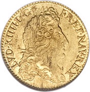 Double Gold Louis with shield - Louis XIV obverse image