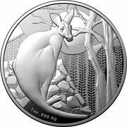 1 Dollar - Elizabeth II 6th Portrait - Silver Kangaroo, Australia, 2022 reverse image