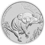 1 Dollar - Elizabeth II 6th Portrait - Koala - Bullion Coin, Australia, 2022 reverse image