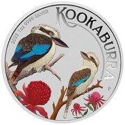 1 Dollar In the name of Elizabeth II; 6th Portrait - Australian Kookaburra - Coloured, Australia, 2023 reverse image