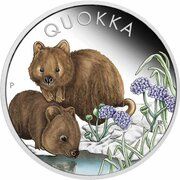 1 Dollar In the name of Elizabeth II; 6th Portrait - Quokka; Coloured Silver Proof, Australia, 2023 reverse image