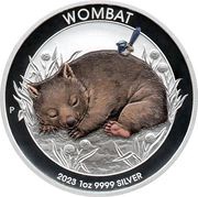 1 Dollar In the name of Elizabeth II; 6th Portrait - Wombat - Coloured, Australia, 2023 reverse image