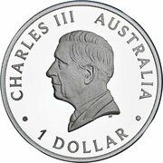 1 Dollar - Charles III 1st Portrait - Australian Kangaroo - Silver Proof obverse image