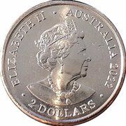 2 Dollars - Elizabeth II 6th Portrait - 100 Years of the Socceroos obverse image
