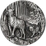 2 Dollars - Elizabeth II 6th Portrait - Year of the Tiger; Silver Antique, Australia, 2022 reverse image