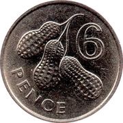 6 Pence - Elizabeth II 2nd Portrait reverse image
