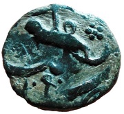 Puli anonymous Lion right reverse image