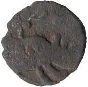 Puli anonymous Rhinoceros obverse image