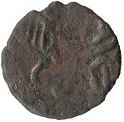 Puli anonymous Rhinoceros reverse image