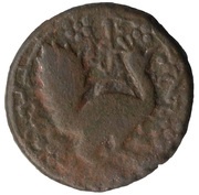 ½ Bisti Peacock right - Bakar obverse image