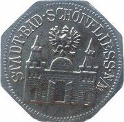 25 Pfennig - Schönfliess, Bad obverse image