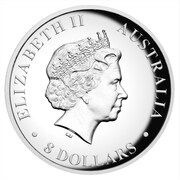 8 Dollars - Elizabeth II 4th Portrait - Koala - Silver High Relief Coin obverse image