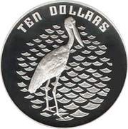 10 Dollars - Elizabeth II 3rd Portrait - Jabiru - Silver Proof, Australia, 1991 reverse image
