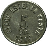 5 Pfennig - Briesen obverse image