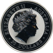 30 Dollars - Elizabeth II 4th Portrait - Year of the Dog - Silver Bullion Coin obverse image