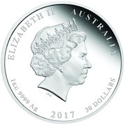 30 Dollars - Elizabeth II 4th Portrait - Year of the Rooster - Silver Bullion Coin obverse image