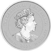 30 Dollars - Elizabeth II 6th Portrait - Australian Platypus - Platinum Bullion Coin obverse image