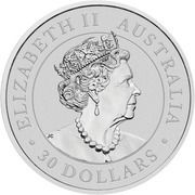 30 Dollars - Elizabeth II 6th Portrait - Koala - Bullion Coin obverse image