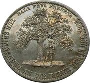 1 Vereinsthaler - George V Holy Day, Germany, 1865 reverse image