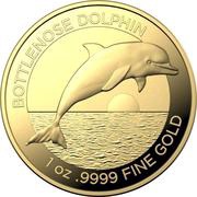 100 Dollars - Elizabeth II 4th Portrait - Bottlenose Dolphin - Gold Bullion Coin, Australia, 2019 reverse image