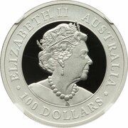 100 Dollars - Elizabeth II 6th Portrait - Australian Wedge-tailed Eagle - Platinum Bullion Coin obverse image