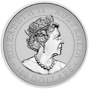 100 Dollars - Elizabeth II 6th Portrait - Australian Wedge-Tailed Eagle - Platinum Bullion Coin obverse image