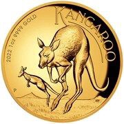 100 Dollars - Elizabeth II 6th Portrait - Kangaroo - Gold Proof, Australia, 2022 reverse image