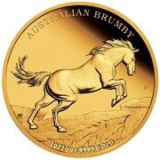 100 Dollars - Elizabeth II 6th Portrait - Australian Brumby, Australia, 2022 reverse image