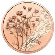 10 Euros Chamomile, Austria, 2023 reverse image