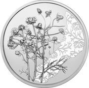 10 Euros Chamomile, Austria, 2023 reverse image