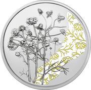 10 Euros Chamomile, Austria, 2023 reverse image