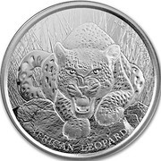 5 Cedis - Elizabeth II African Leopard, Ghana, 2017 reverse image