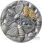 10 Cedis Silk Moth, Ghana, 2023 reverse image