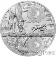 50 Cedis Stallion obverse image